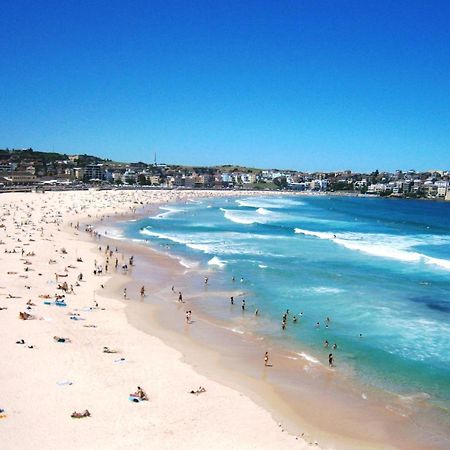 邦迪海滩终极公寓 Bondi Beach 外观 照片