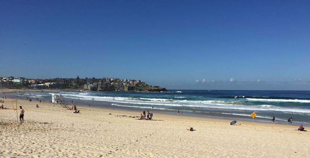 邦迪海滩终极公寓 Bondi Beach 外观 照片