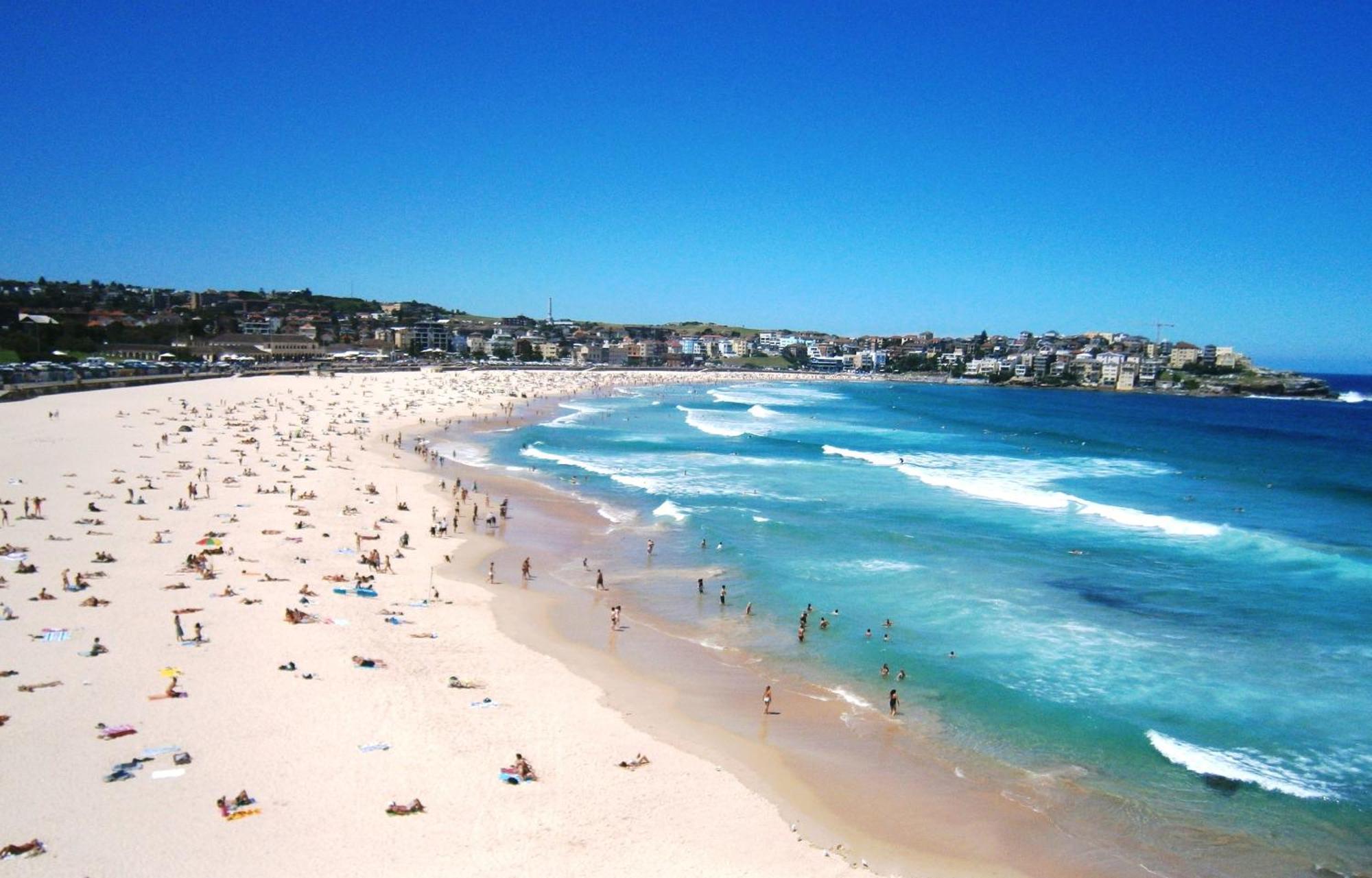 邦迪海滩终极公寓 Bondi Beach 外观 照片