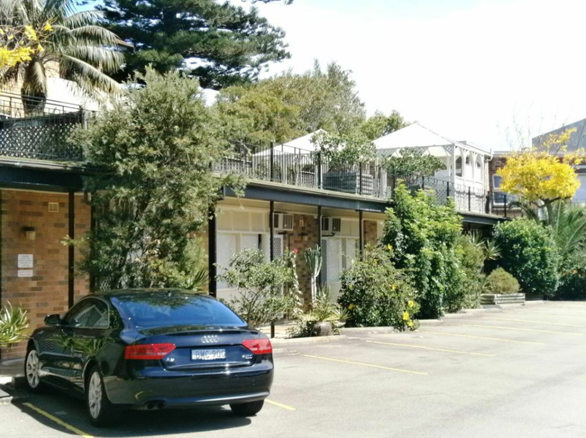 邦迪海滩终极公寓 Bondi Beach 外观 照片